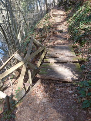 Verwahrloster Wanderpfad Flöhatal