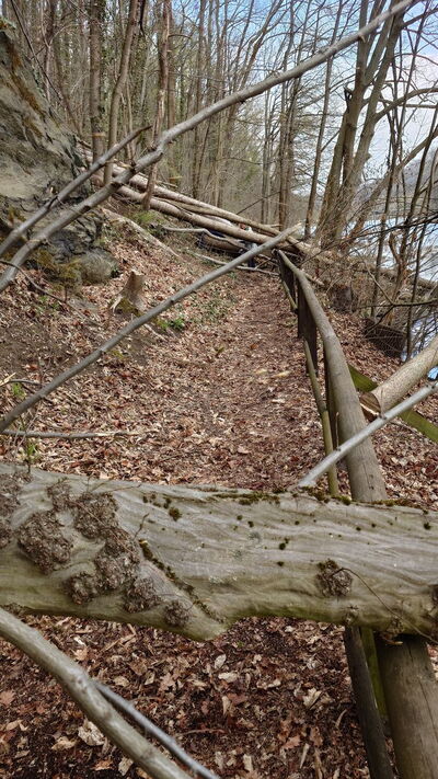 Verwahrlsoter Wanderpfad Zschopautal