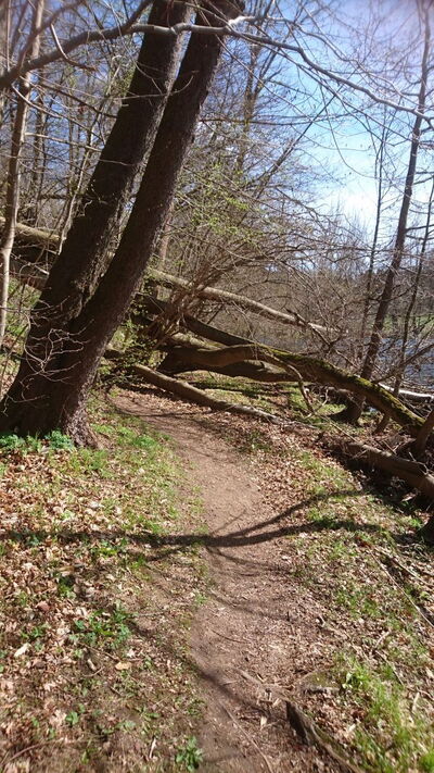 Verw. Wanderpfad Flöhatal