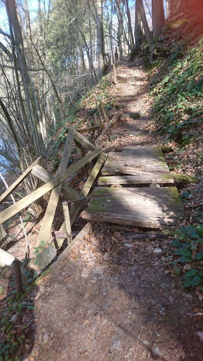 Verwahrloster Wanderpfad Flöhatal